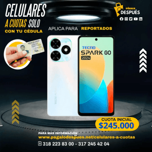 Celular Tecno Spark Go 2024 8Gb 128Gb